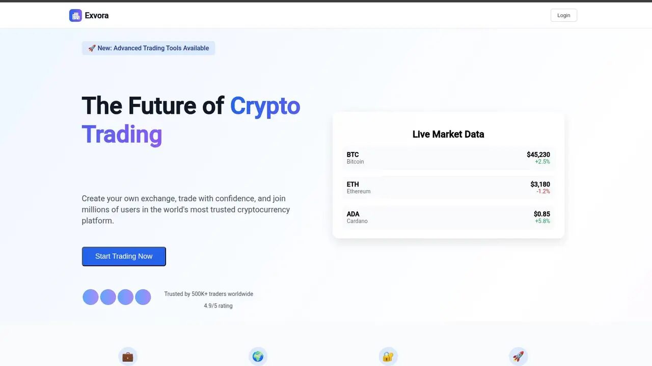 تصویر پلتفرم Exvore برای مدیریت صرافی‌ها